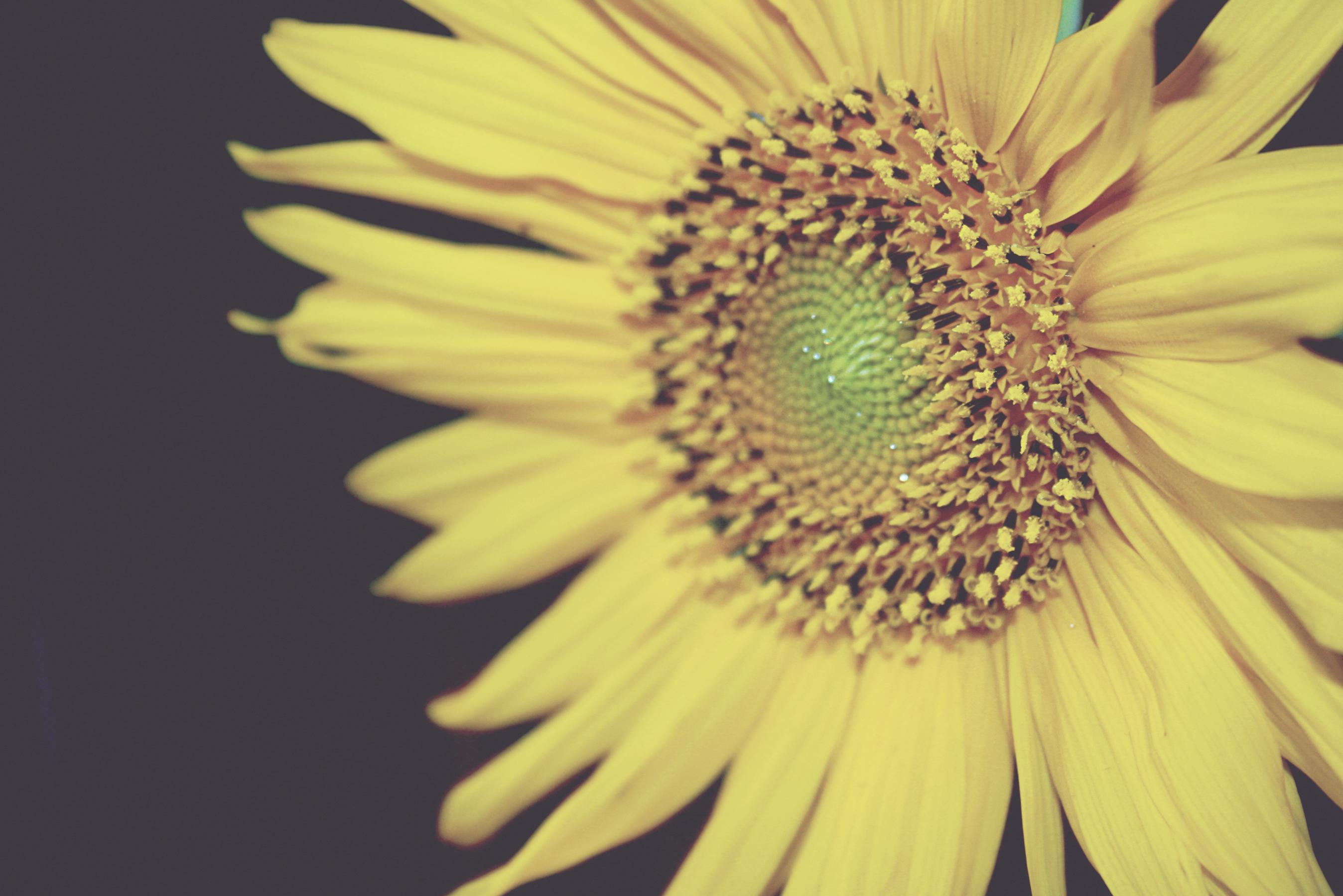 360 Grad Video Raumrundgang